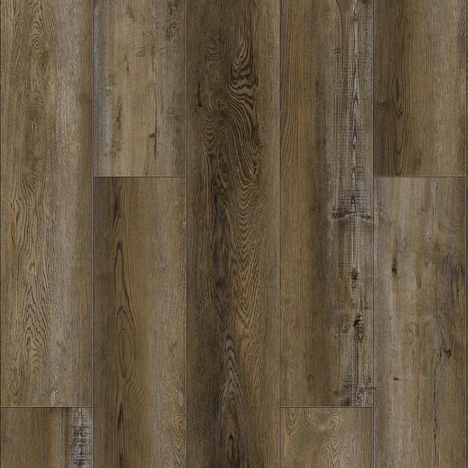 MAX CORE Home Olivo